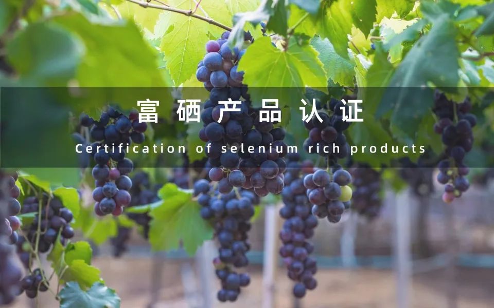 質(zhì)量管理體系三大要點(diǎn)：退，實(shí)，細(xì)！