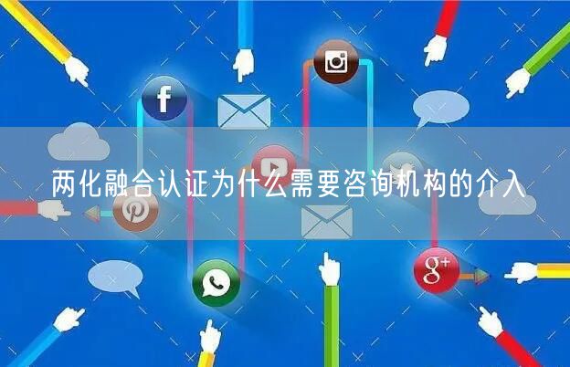 兩化融合認(rèn)證為什么需要咨詢機(jī)構(gòu)的介入(12)