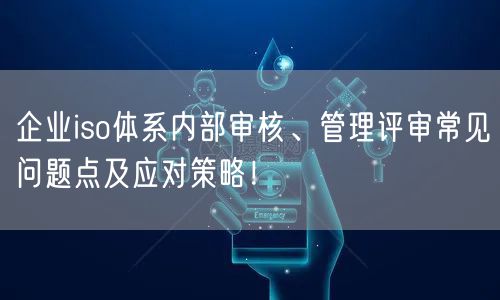 企業(yè)iso體系內(nèi)部審核、管理評(píng)審常見(jiàn)問(wèn)題點(diǎn)及應(yīng)對(duì)策略！(13)