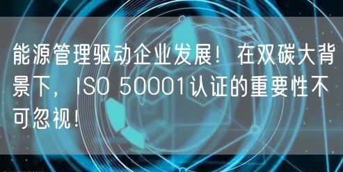 能源管理驅(qū)動(dòng)企業(yè)發(fā)展！在雙碳大背景下，ISO 50001認(rèn)證的重要性不可忽視！(6)